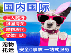 包头东河航空邮寄国际宠物托运 【国